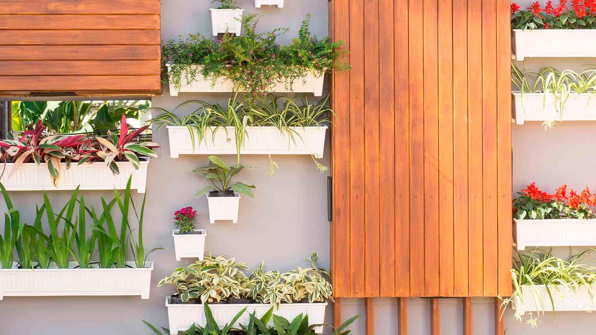 Terraza + jardín vertical exterior: Con estos consejos arma tu espacio perfecto.